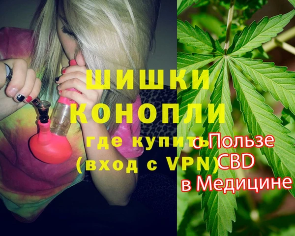 прущая мука Вяземский